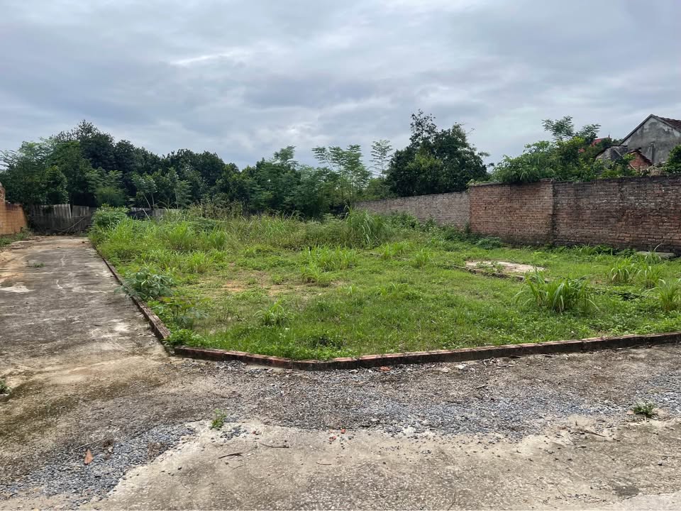 Đất nền Phúc Tiến, Bình Yên 84m² - Đường thông ô tô vào tận nơi!