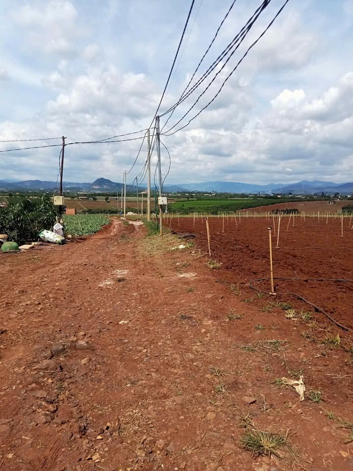 Đất nền Tân Hội 2400m² giá 1.65 tỷ - Đầu tư sinh lời ngay!