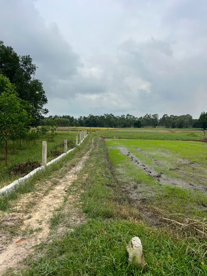 Đất nền Tân Bình, La Gi 1900m² giá 1.3 tỷ - Đầu tư sinh lời ngay!