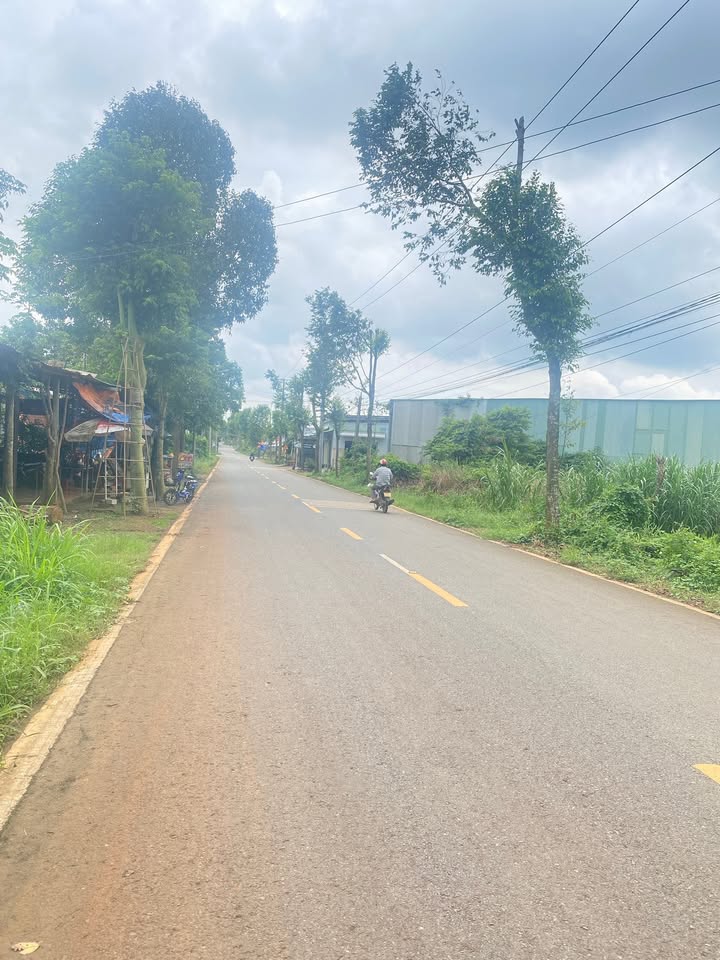 Đất nền Hóc Môn 567m² giá 200 triệu - Sổ đỏ chính chủ, thương lượng tốt!