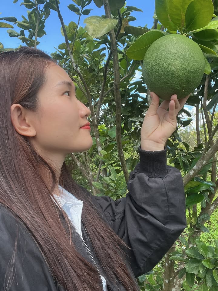 Farm Khánh Bình 1000m² giá 480 triệu - Đầu tư sinh lời tuyệt vời!