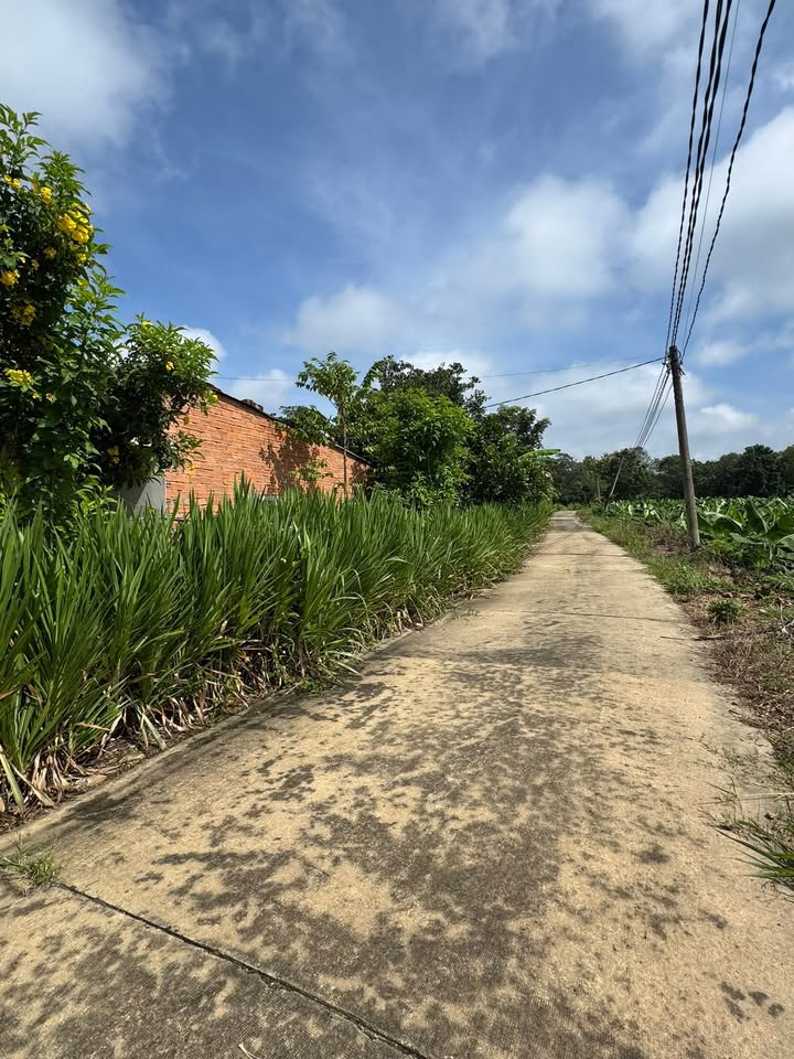 Đất thổ cư 200m² Ấp 7 Phú Tân, Định Quán - Cơ hội đầu tư hấp dẫn!