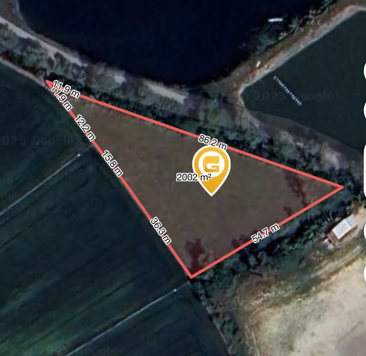 Đất ruộng Tân Công Chí, Tân Hồng 1989m² giá 520 triệu - Đường xe hơi vào tận nơi!