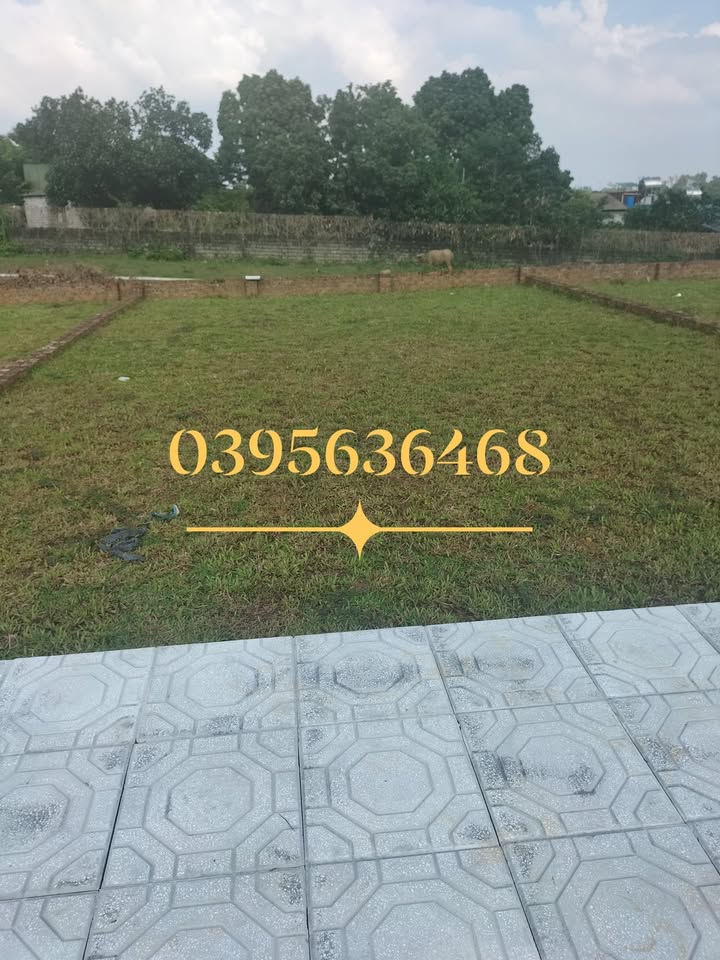 Đất thổ cư 100m² xã Phú Cát, Thạch Thất - Giá chỉ 2 tỷ, pháp lý rõ ràng!