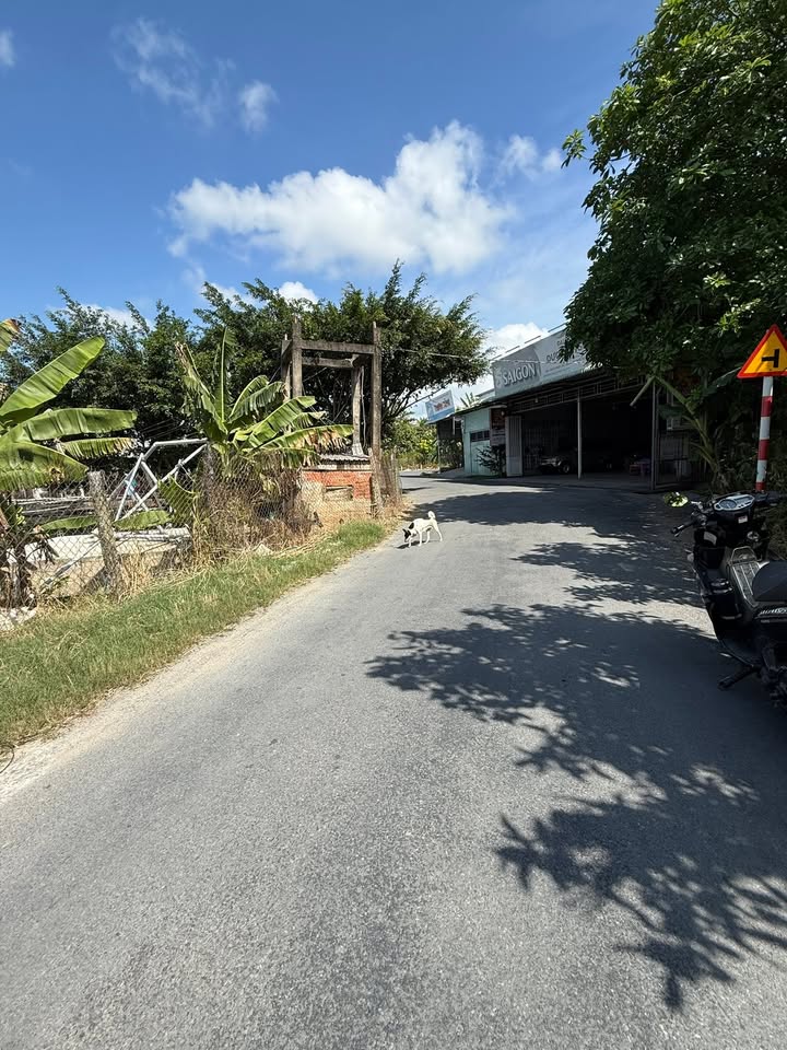 Bán đất mặt tiền đường HL71C, xã An Cư, 240m² - Đầu tư sinh lời ngay!