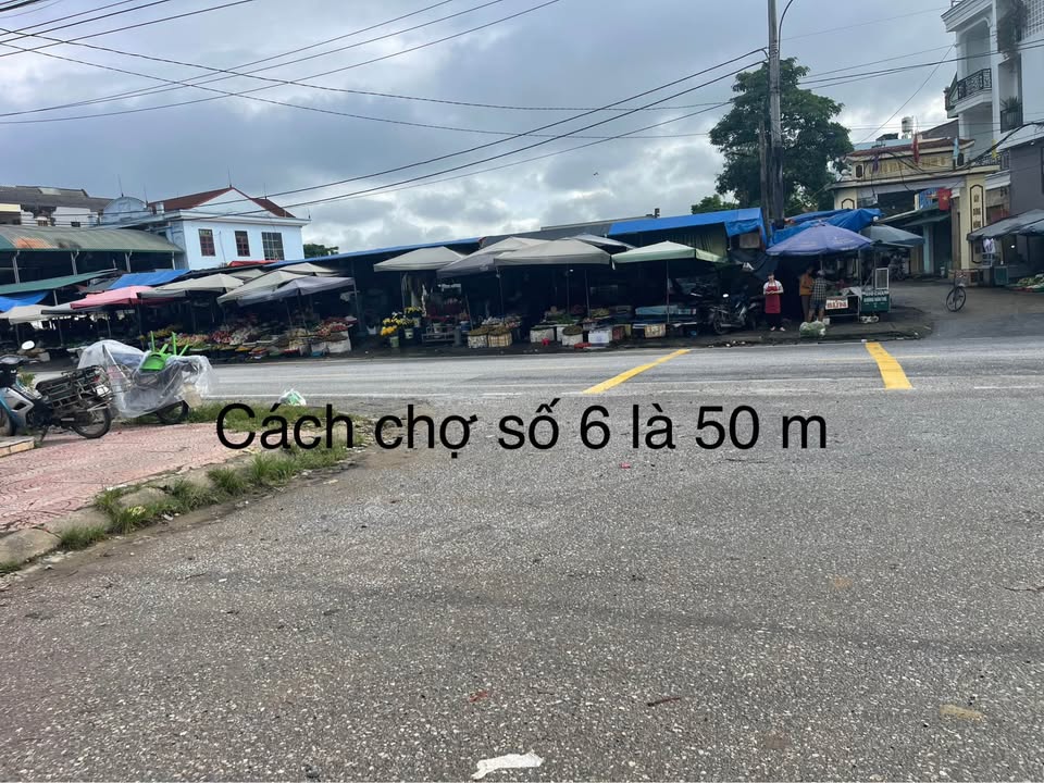 Đất nền Km6, xã Trung Môn, Yên Sơn 259m² - Tiện ích đầy đủ, gần Đại học Tân Trào!