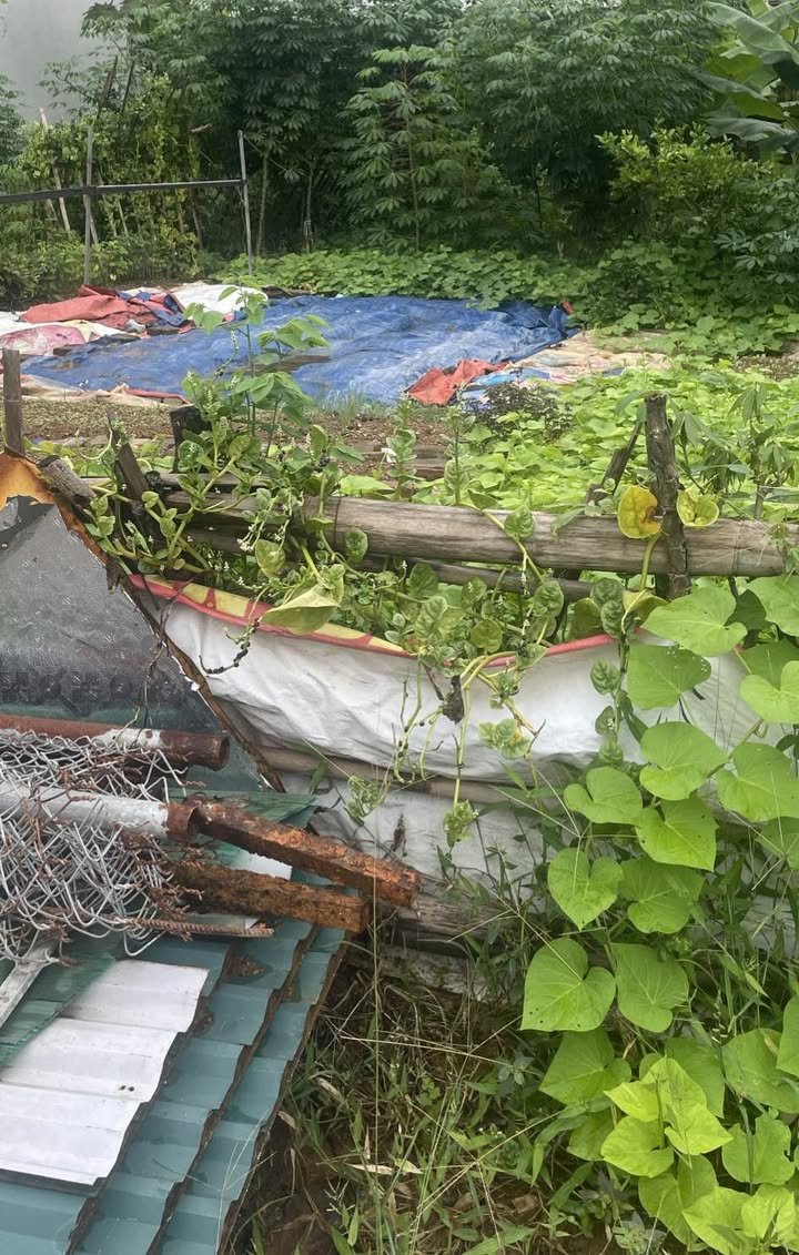 Đất thổ cư 105m² tại tổ 8 Ỷ La - Giá thỏa thuận hấp dẫn!