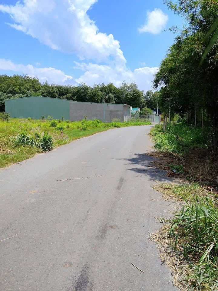 Xưởng 1500m² An Điền Bến Cát Giá 15 tỷ - Pháp lý rõ ràng, cho thuê 60 triệu/tháng!