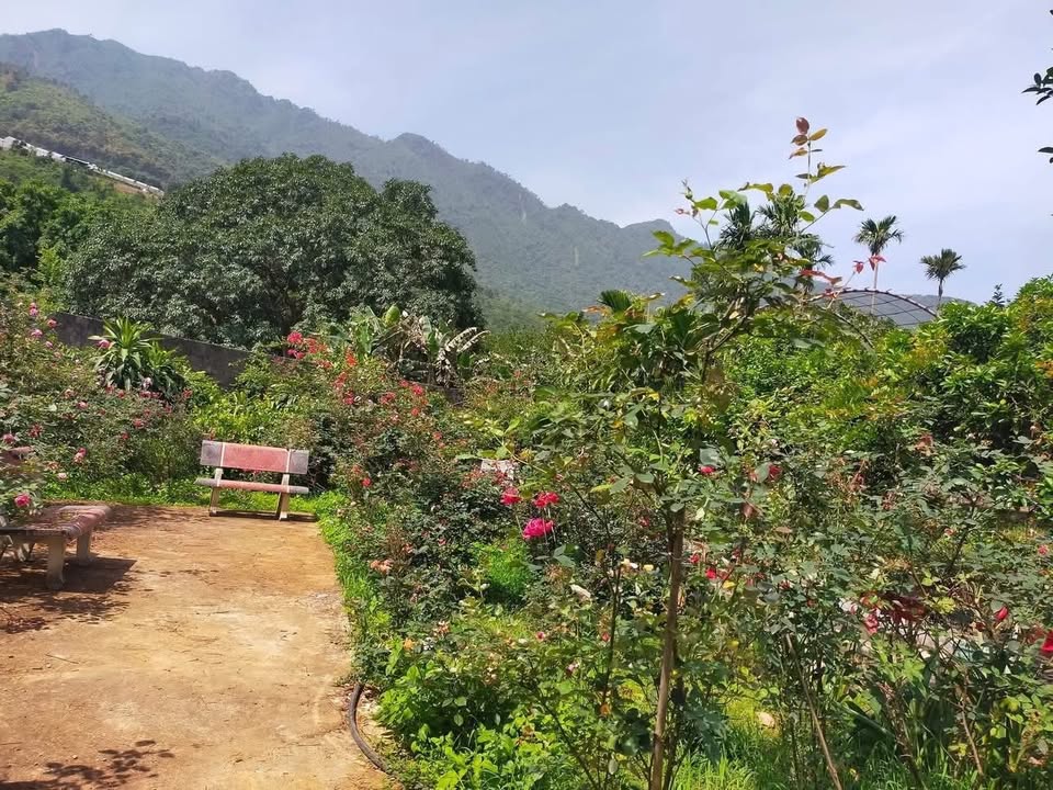 Đất nghỉ dưỡng 1,7ha tại Thạch Thất - Đầu tư sinh lời ngay!