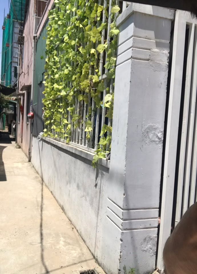 Nhà mặt tiền K3 Hà Thị Thân, Sơn Trà 100m² - Vị trí kinh doanh đắc địa!