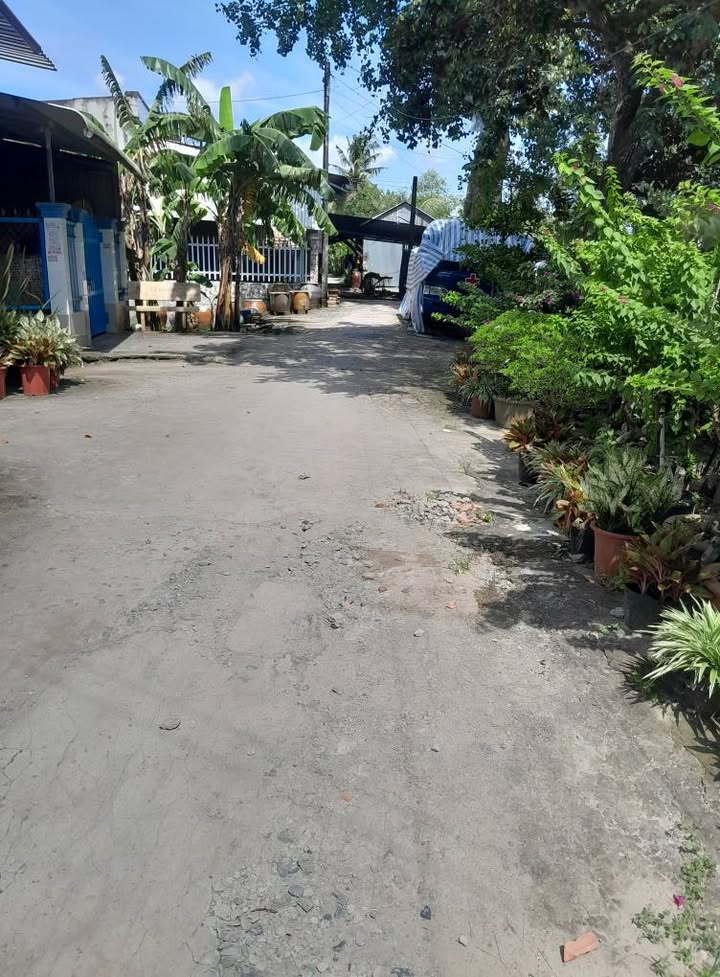 Đất nền Hòa Long, Lai Vung 65m² giá 390 triệu - Vị trí kinh doanh đắc địa!