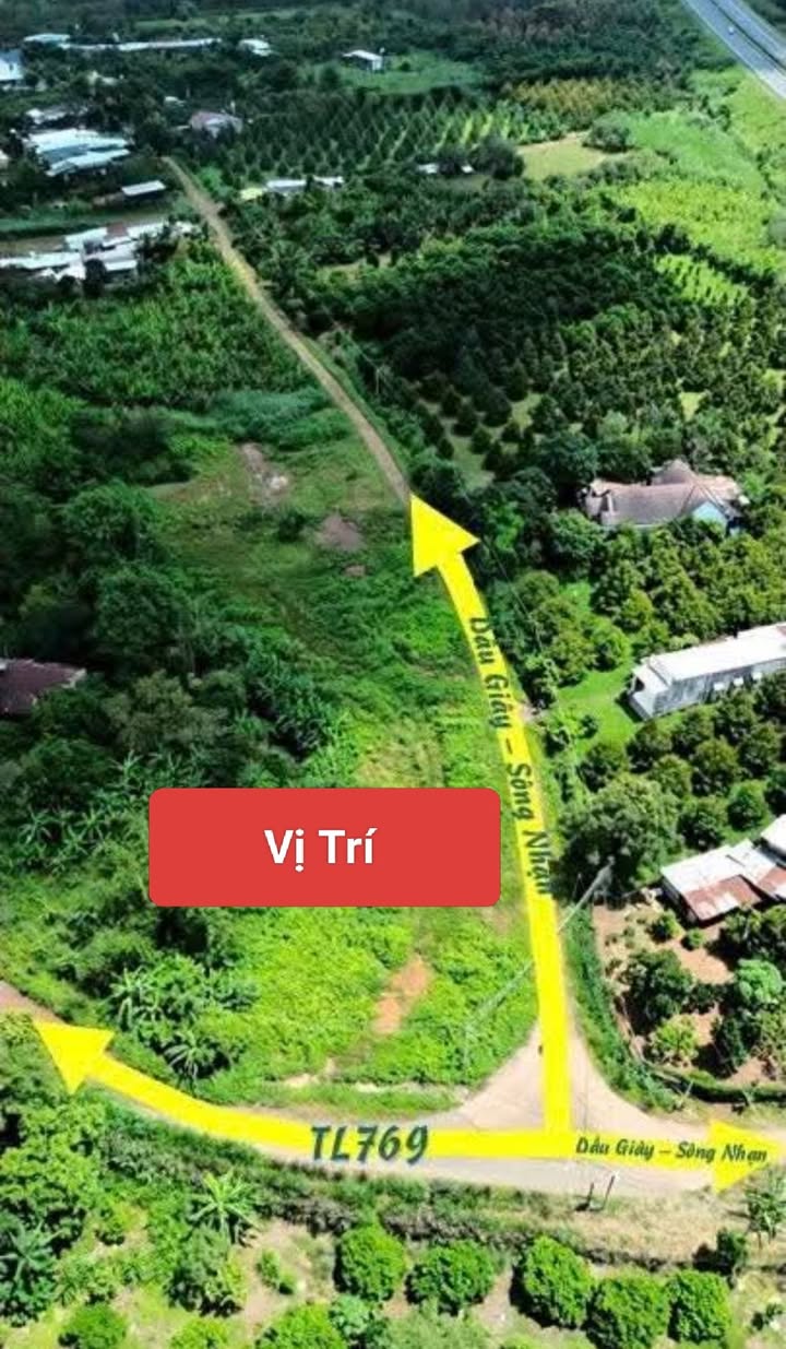 Đất sổ riêng thổ cư xã Sông Nhạn, Cẩm Mỹ, 105m² chỉ 550 triệu - Cơ hội đầu tư hấp dẫn!