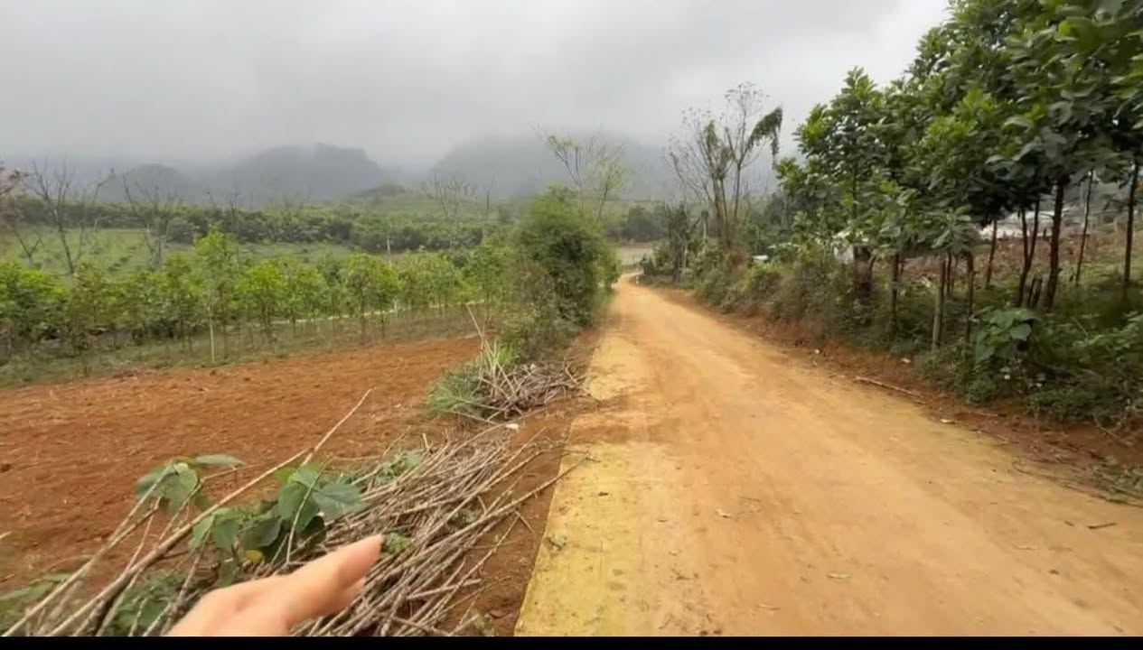 Đất Farm Lỗ Sơn, Tân Lạc 1400m² giá 899 triệu - Cơ hội đầu tư không thể bỏ qua!