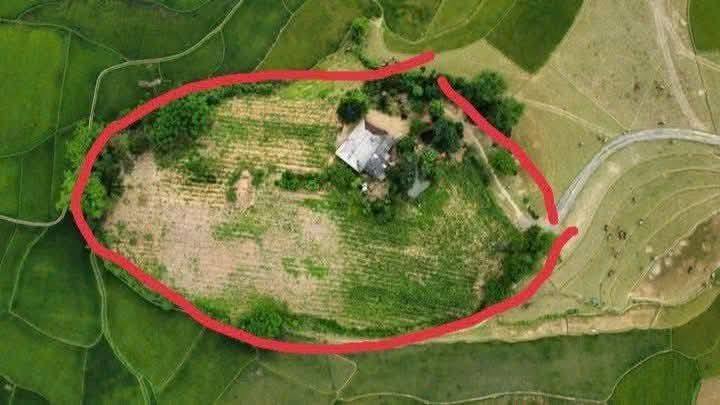 Đất Farm Mỹ Hòa, Tân Lạc, Hòa Bình 7775m² giá 3 tỷ - Hòn đảo xanh giữa cánh đồng