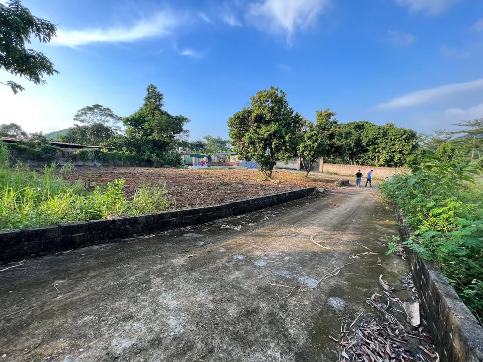 Đất nền thổ cư 555m² tại Yên Bình, Thạch Thất - Đầu tư sinh lời hấp dẫn!