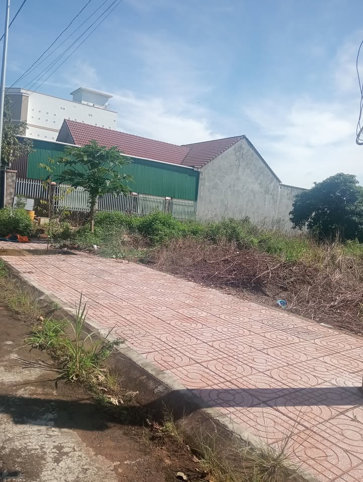 Đất nền chính chủ Đắk Nông 246m² giá 1.59 tỷ - Đầu tư sinh lời ngay!