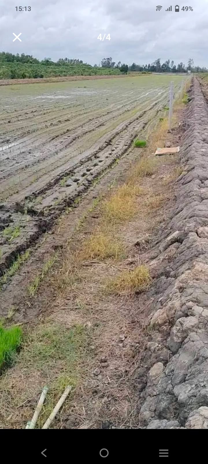 Đất thổ cư 7900m² tại Thanh Mỹ, Cai Lậy chỉ 2.37 tỷ - Cơ hội đầu tư tuyệt vời!