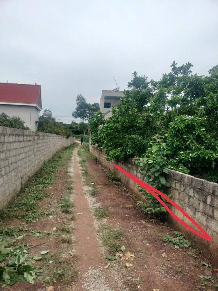 Bán lô đất mặt tiền 8m tại Cẩm Định, Thanh Hải - Giá chỉ 4xx triệu!