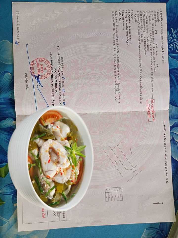 Đất nền góc 2 mặt tiền tại Cát Hanh, Phù Cát - Diện tích 140m², chỉ 500 triệu!