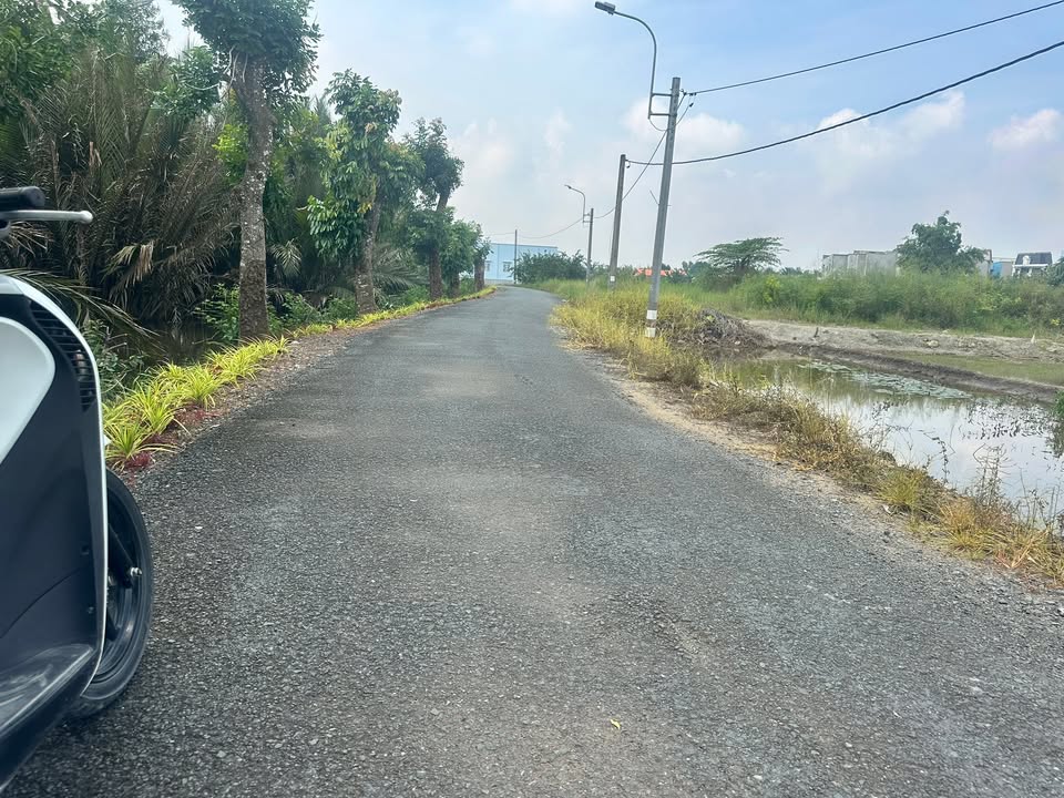 Đất thổ cư và đất lúa Cần Giuộc Long An 450m² giá 5.5 tỷ - Tiềm năng đầu tư lớn!