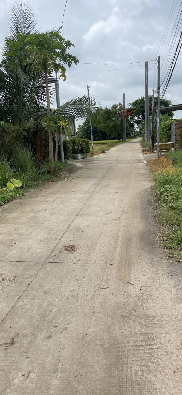 Đất thổ cư Hòa Khánh Nam, Đức Hòa 259m² giá 1.37 tỷ - Mặt tiền đường bê tông thông thoáng!