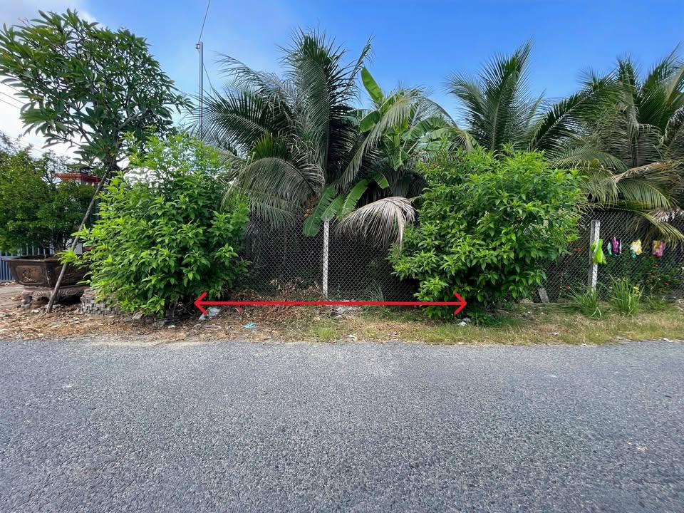 Đất mặt tiền đường Nguyễn Quang Đại, Phường 5, 115m² - Tiềm năng thương mại cao!