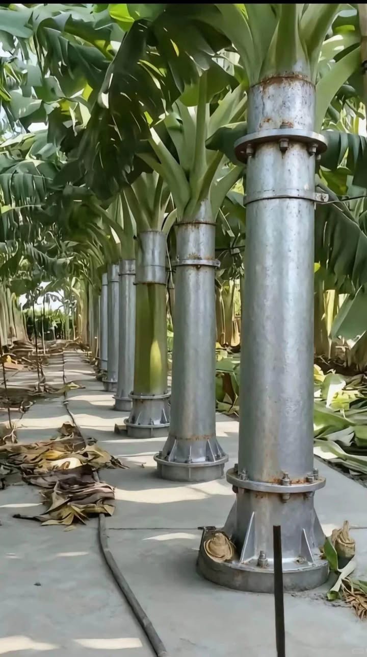 Đất nền Tịnh Ấn Đông 106m² giá 400 triệu - Hướng Bắc, ô tô vào tận nơi!