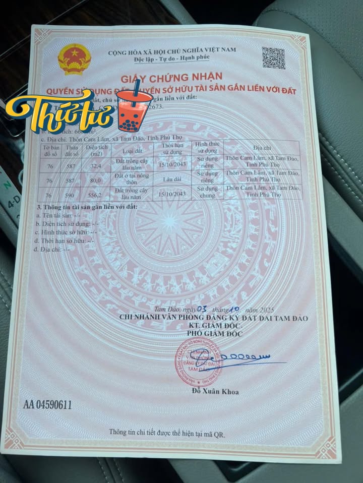 Đất nền tại Minh Quang, Tam Đảo 80m² giá 800 triệu - Đầu tư sinh lời ngay!