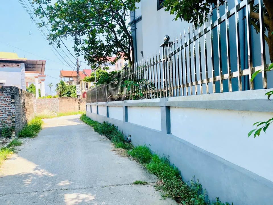 Đất thổ cư 99m² tại Yên Ninh - Sóc Sơn - Giá cực kỳ yêu thương!