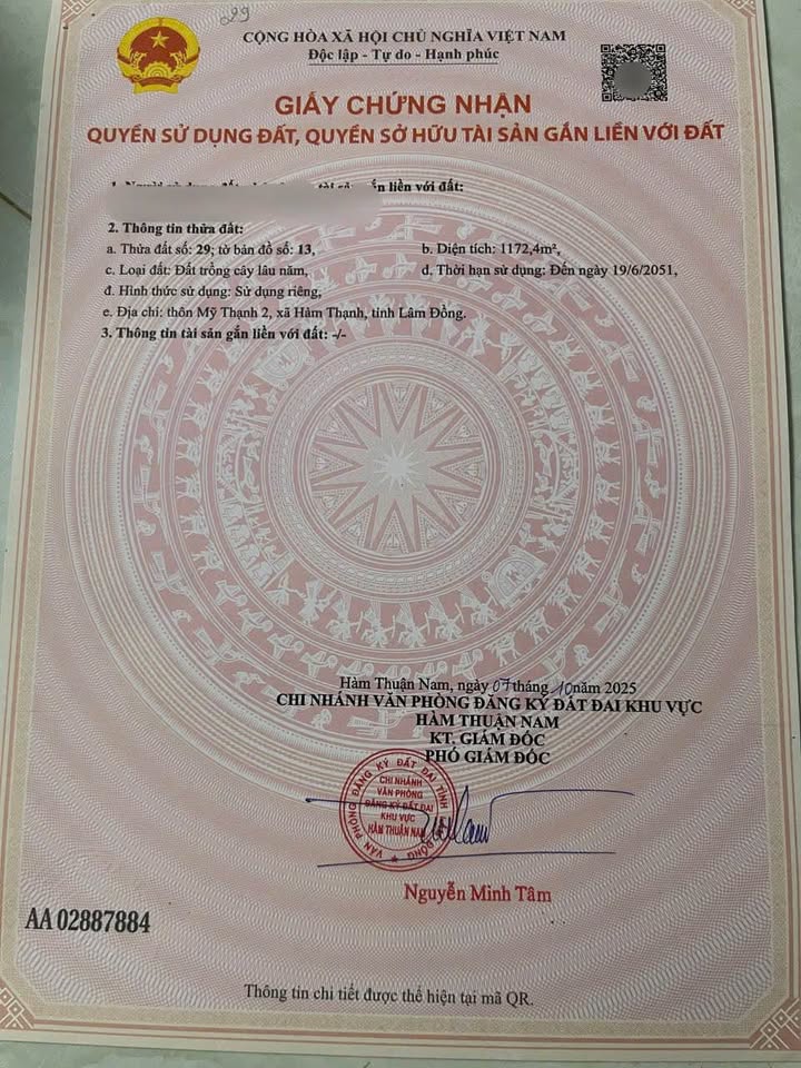 Đất nền đẹp thôn Mỹ Thạnh, Bình Thuận 1117m² chỉ 350 triệu - Không thể bỏ lỡ!