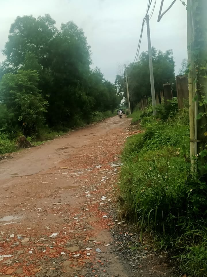 Đất nền 600m² tại Bình Chánh - Giá chỉ 3.6 tỷ - Cơ hội đầu tư tuyệt vời!