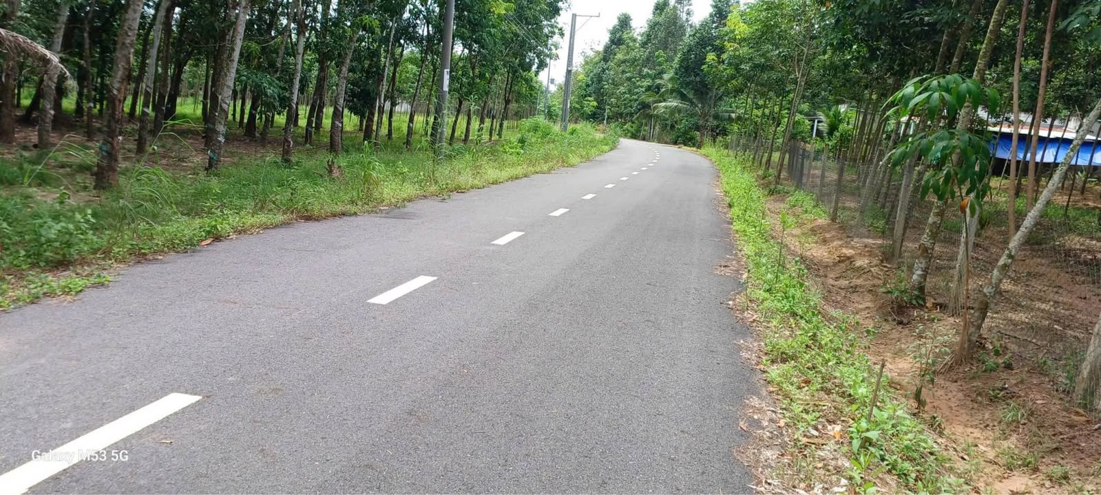 Đất nền Long Nguyên Bàu Bàng 5643m² giá 5 tỷ - Đầu tư sinh lời tốt!