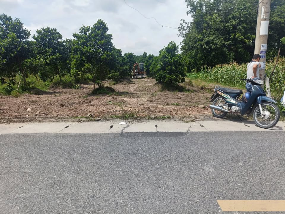 Đất nền Phú Mỹ Thủ Dầu Một 706m² giá 7 tỷ - Cơ hội đầu tư sinh lời!