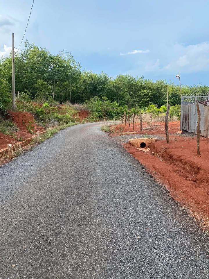 Đất Farm ấp 10 Lộc Thiện 2000m² giá 750 triệu - Sổ đỏ chính chủ