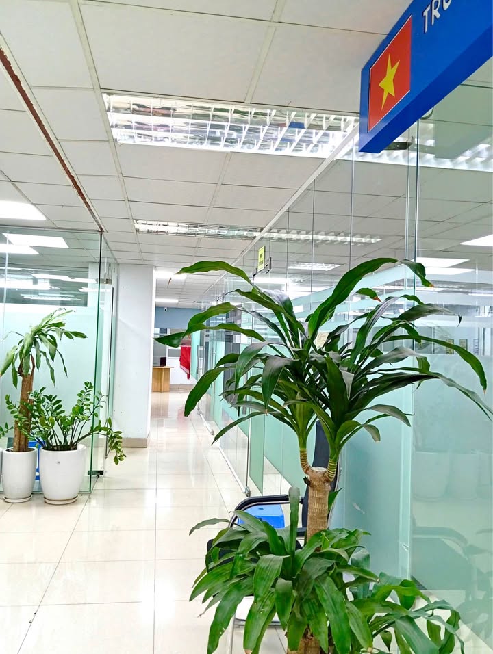 Cho thuê văn phòng Mỹ Đình 300m² chỉ 54 triệu - Vị trí trung tâm, bảo vệ 24/7!