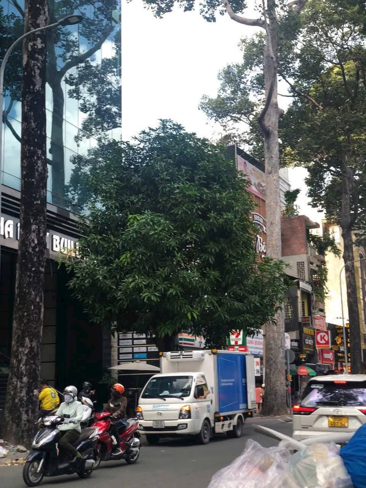 FrontHouse 15 Tôn Thất Tùng Quận 1 84m² giá 43 tỷ - Cơ hội đầu tư sinh lời!