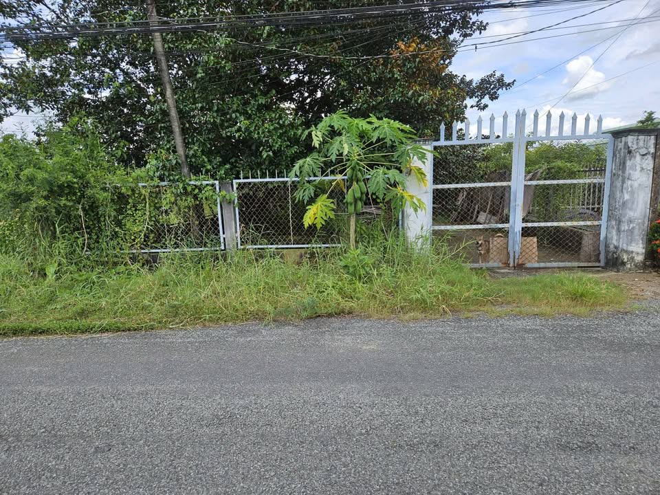 Đất thổ cư mặt tiền đường Trần Văn Ngà, Tân An, Long An 870m² - Giá hợp lý cho đầu tư!