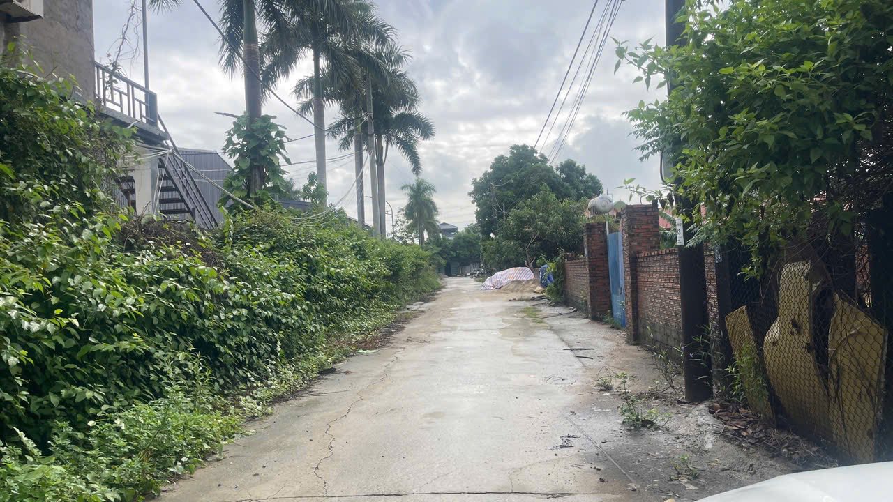 Đất nền xã Nội Bài 541m² - Thỏa thuận giá tốt, cơ hội đầu tư hấp dẫn!