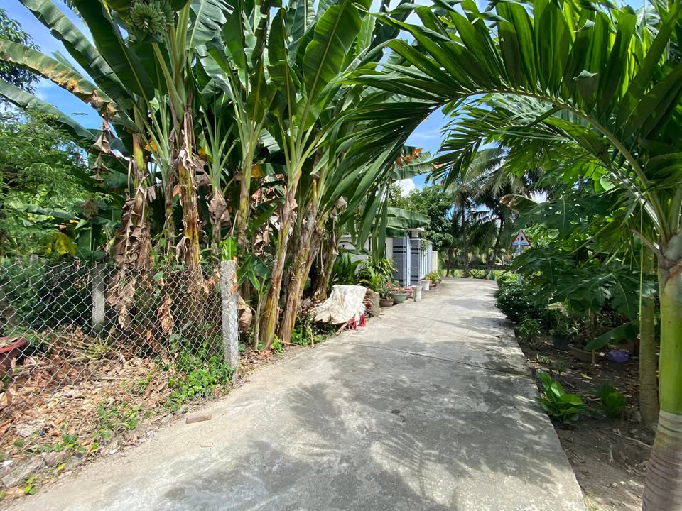 Đất nền Diên Toàn, Diên Khánh 100m² giá 1.3 tỷ - Cơ hội đầu tư hấp dẫn!