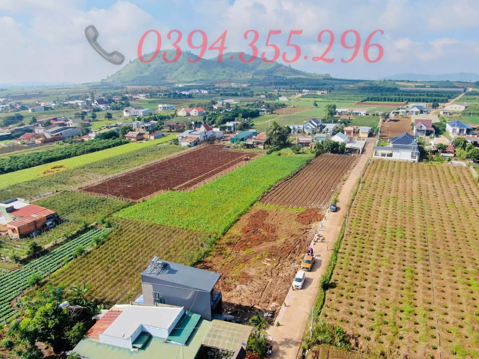 Đất nền Tân Phú, Tân Hội 105m² chỉ 785 triệu - Sổ hồng riêng, vị trí thuận lợi!