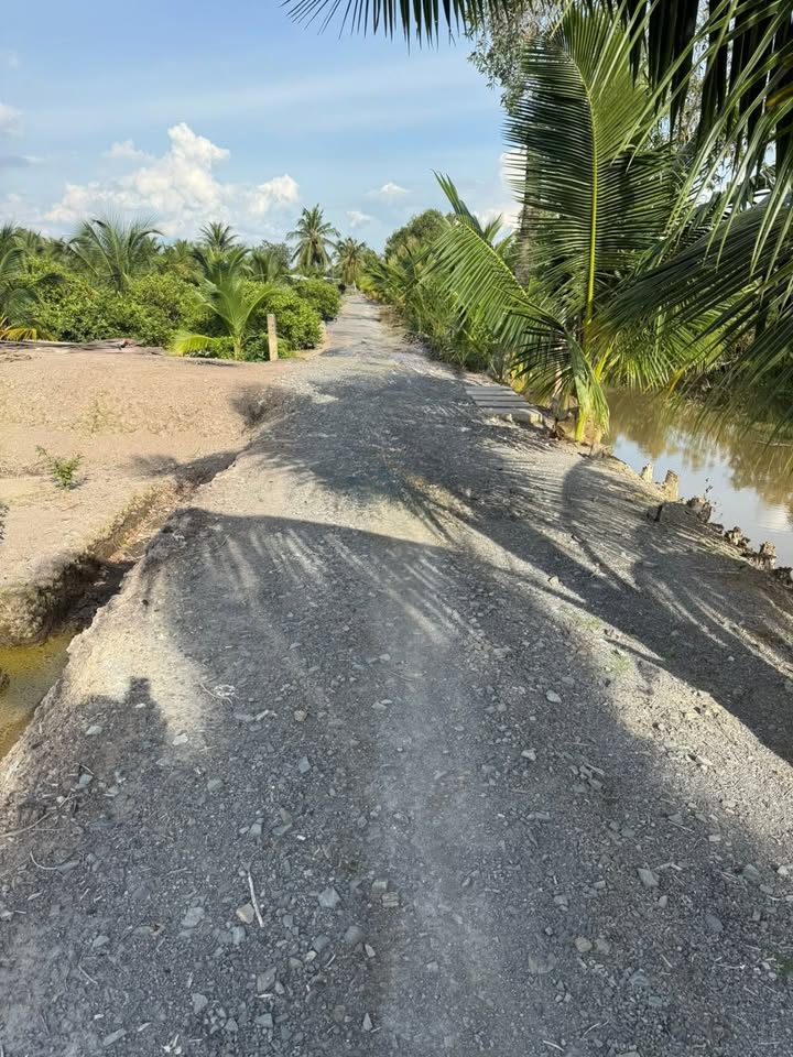 Đất vườn 1500m² tại ấp 8, xã Lương Hòa, Bến Lức - Giá 1.6 tỷ thương lượng!