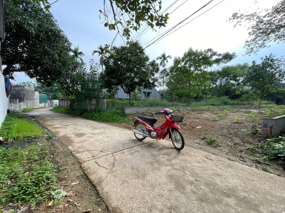 Đất nền Cư Yên Lương Sơn 270m² giá thỏa thuận - Tiềm năng tăng giá cao!