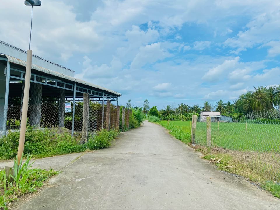 Đất nền Vĩnh Hựu Gò Công Tây 250m² giá 380 triệu - Sẵn sàng xây nhà nghỉ dưỡng!