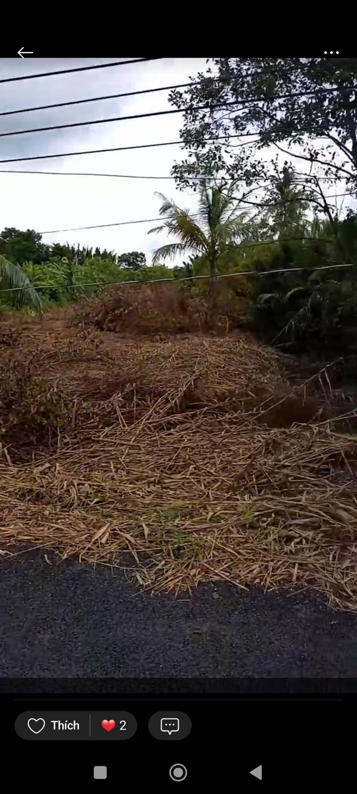 Đất nông nghiệp xã Phú Hữu 20160m² giá 2.072 tỷ - Cơ hội đầu tư hấp dẫn!