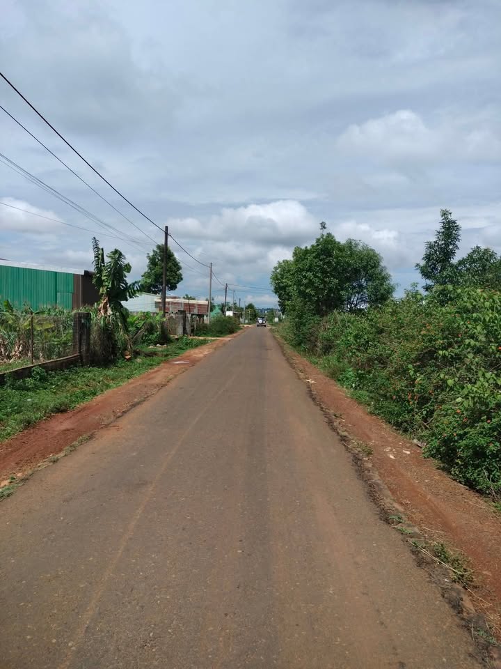 Đất nông nghiệp hẻm 196 Nguyễn Kiệm, Pleiku 2400m² - Đầu tư sinh lời ngay!