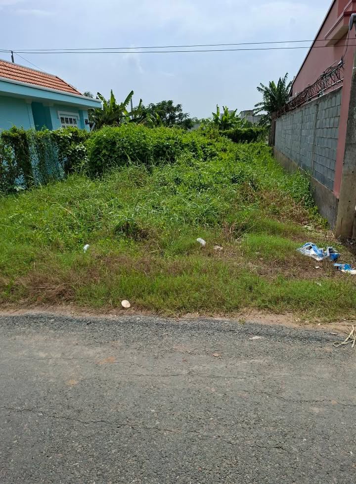 Đất nền mặt tiền nhựa Ấp Thuận An, Gò Công 128m² giá 1.6 tỷ - Cơ hội đầu tư hấp dẫn!