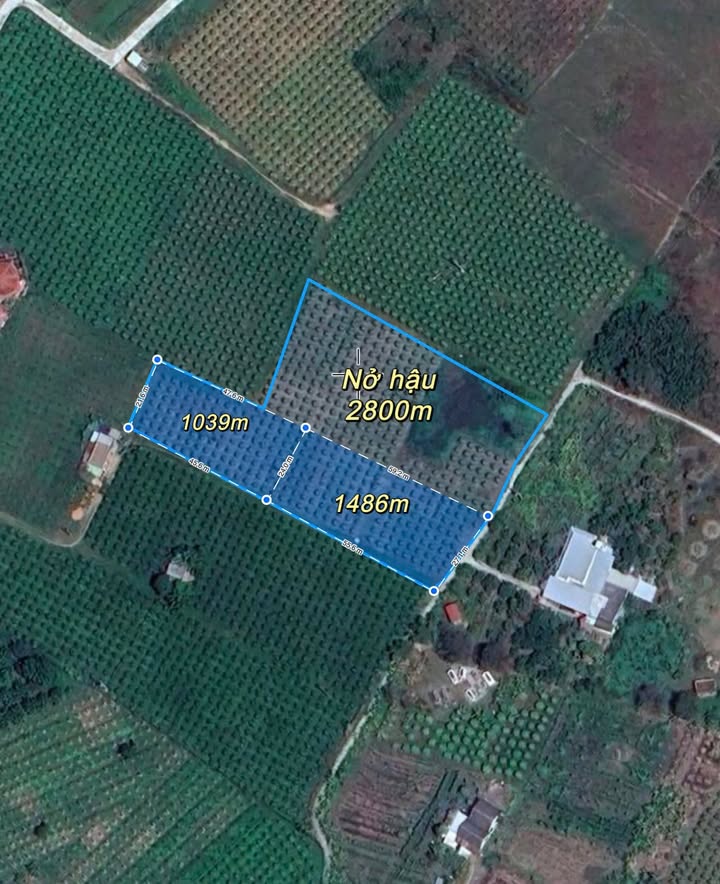 Đất thổ cư Hàm Hiệp - 2776m² giá 1.168 tỷ - Sổ hồng riêng, ô tô vào tận nơi!