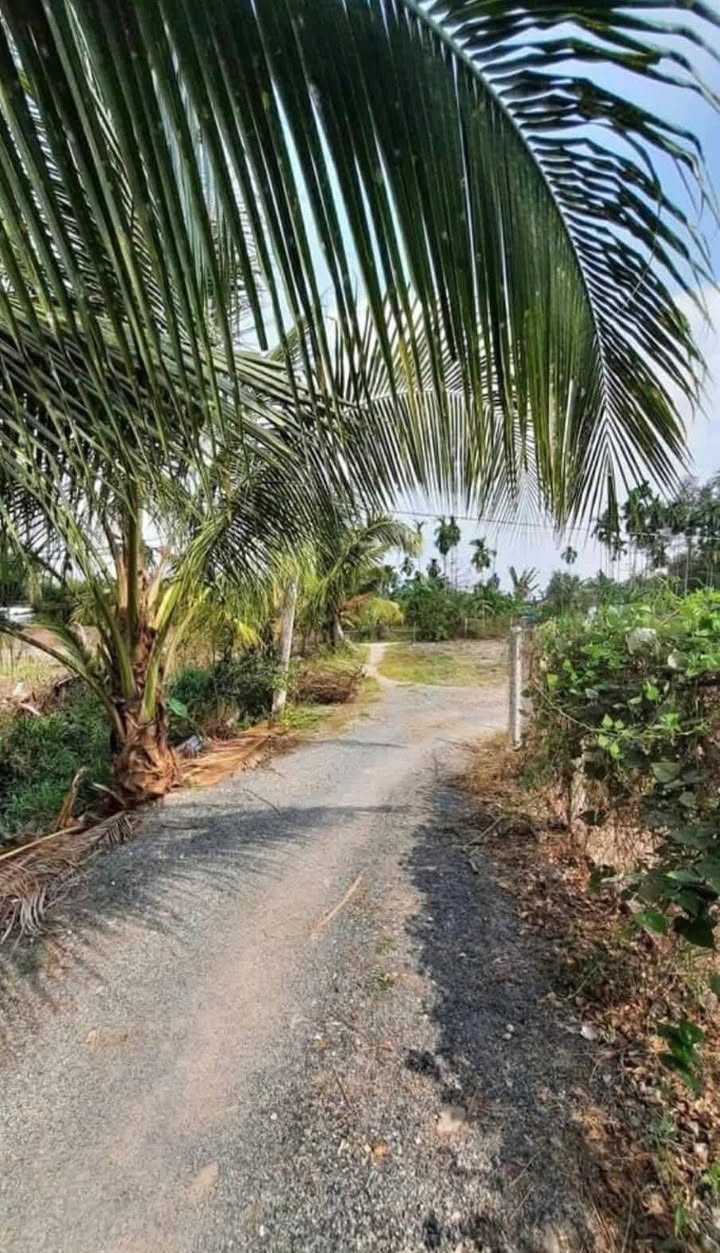 Đất nền Phước An Nhơn Trạch 615m² giá 1.5 tỷ - Cần bán gấp!