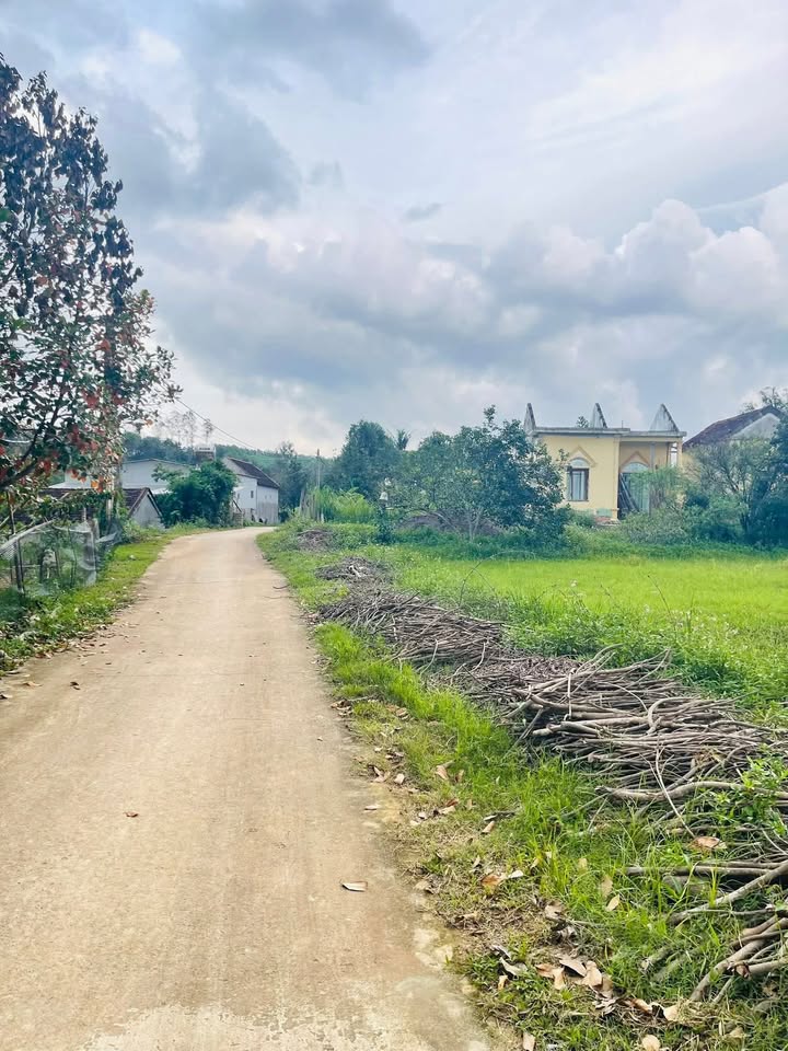 Đất thổ cư Kỳ Sơn, Tân Kỳ, Nghệ An 221m² - Giá chỉ 400 triệu - Đầu tư sinh lời!