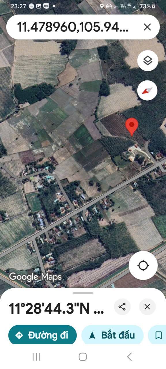 Farm 12000m² tại Phước Vinh, Trảng Bàng - Giá chỉ 800 triệu, cần bán gấp!